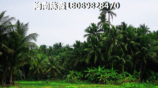 万圣节恐怖网页游戏攻略