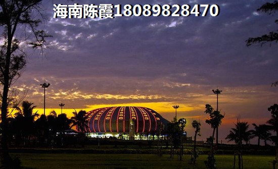 双壳类化石图片大全