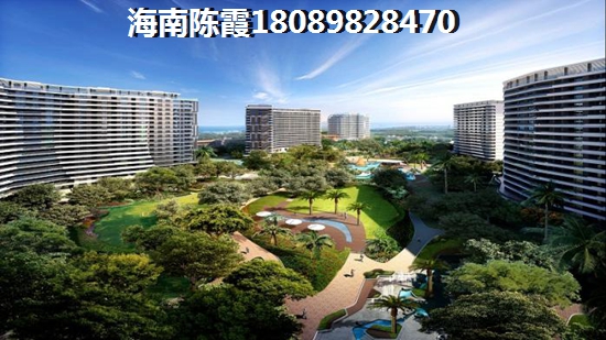 陵水县城房价走势醉新消息2025